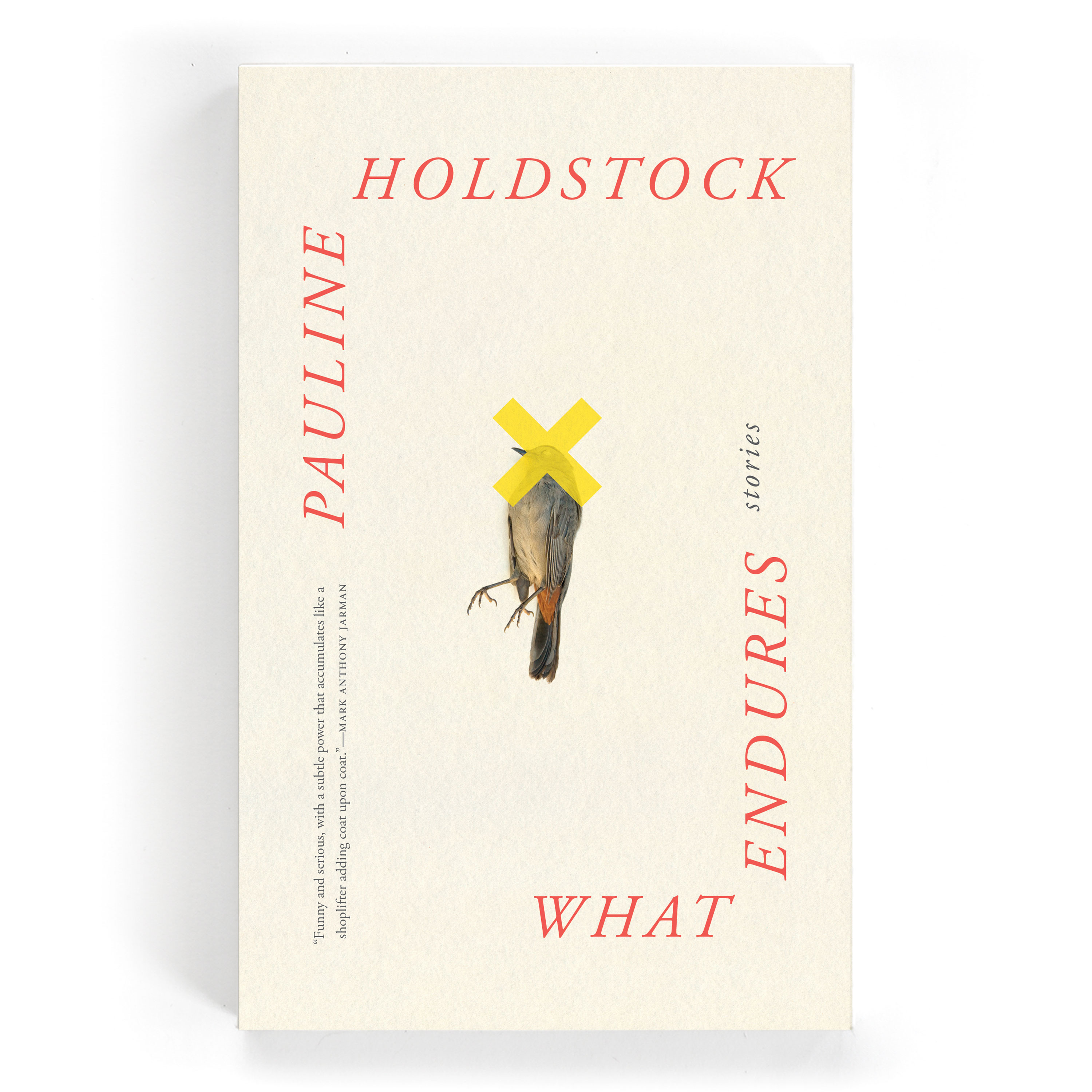 Front cover design for What Endures by Pauline Holdstock